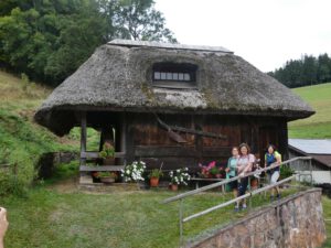 Durch das Hochmoor zur Grünhütte
