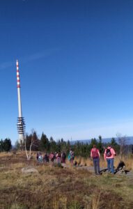 Durch das Hochmoor zur Grünhütte