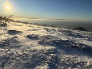 Durch das Hochmoor zur Grünhütte