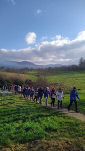 Durch das Hochmoor zur Grünhütte