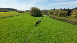 Dreierlei in Willstätt