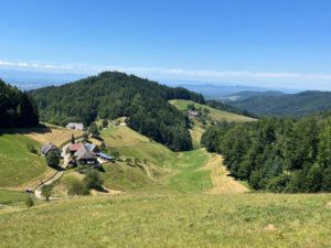 Silvesterlauf in Kappelrodeck
