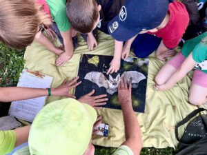 Durch das Hochmoor zur Grünhütte