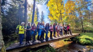 Durch das Hochmoor zur Grünhütte