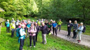 Durch das Hochmoor zur Grünhütte
