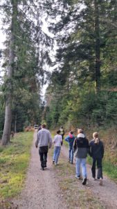 Durch das Hochmoor zur Grünhütte